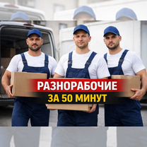 Нужны грузчики или разнорабочие. Звоните, Янино-1
