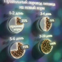 Сухой корм для собак средних и крупных пород, Краснозаводск