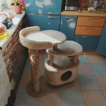 Домик для кота с когтеточкой